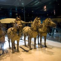 profimedia-0277628042