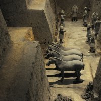 profimedia-0513839546