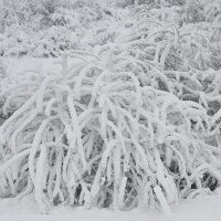 Kolaps zbog snijega i leda kod Brela