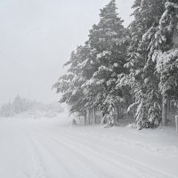 Kolaps zbog snijega i leda kod Brela