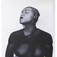 Natalia LL, Panična sfera, 1991., cb fotografija, platno