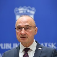 Gordan Grlić Radman