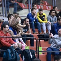 Cibona - Mega Basket