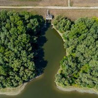 Zbog niskog vodostaja Dunava ovog ljeta, veći dio Kopačkog rita bio je bez vode