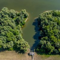 Zbog niskog vodostaja Dunava ovog ljeta, veći dio Kopačkog rita bio je bez vode