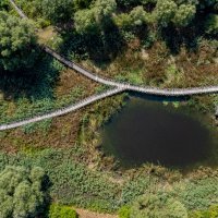 Zbog niskog vodostaja Dunava ovog ljeta, veći dio Kopačkog rita bio je bez vode