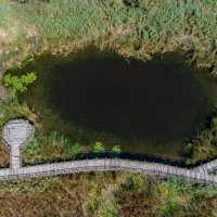 Zbog niskog vodostaja Dunava ovog ljeta, veći dio Kopačkog rita bio je bez vode