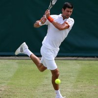 Novak Djokovic  (3)