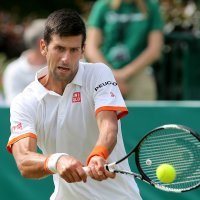 Novak Djokovic  (5)