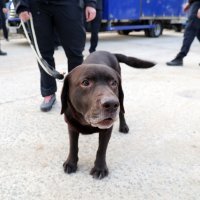 Hrvatska poslala tim za spašavanje u potresu razorenu Tursku