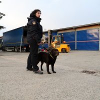 Hrvatska poslala tim za spašavanje u potresu razorenu Tursku