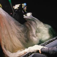 Ostaci srušenog kineskog balona