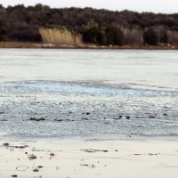 Tisno: Zbog hladnoga vala poledilo more i u Ivinju