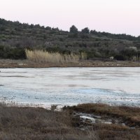 Tisno: Zbog hladnoga vala poledilo more i u Ivinju