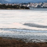 Tisno: Zbog hladnoga vala poledilo more i u Ivinju