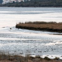 Tisno: Zbog hladnoga vala poledilo more i u Ivinju