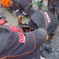 Spašene majka i kći