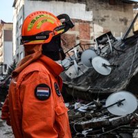 Timovi brojnih europskih zemalja na put su s psima otišli avionom