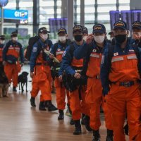 Timovi brojnih europskih zemalja na put su s psima otišli avionom