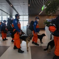 Timovi brojnih europskih zemalja na put su s psima otišli avionom