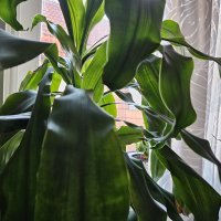 Samsung Galaxy S23, primjeri fotografija