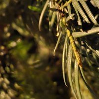 Samsung Galaxy S23, primjeri fotografija