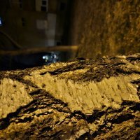 Samsung Galaxy S23, primjeri fotografija