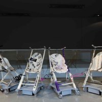 Tijelo i teritorij, postav