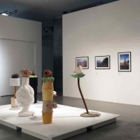 Tijelo i teritorij, postav