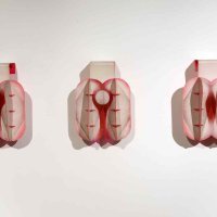 Tijelo i teritorij, postav