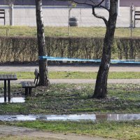 Pukao cjevovod u Zagrebu