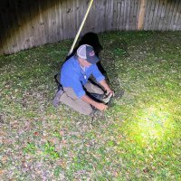 Aligator u New Yorku