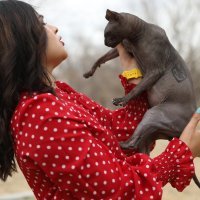 Tetovirana mačka meksičkog kartela