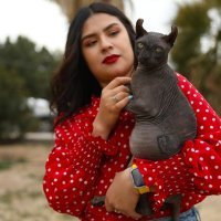 Tetovirana mačka meksičkog kartela