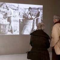 Andrej Plenković na svečanosti otvorenja Vinogradarskog muzeja