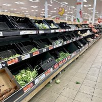 Nestašica voća i povrća u britanskim trgovinama