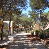 Arena Hospitality Group, kamp Pomer