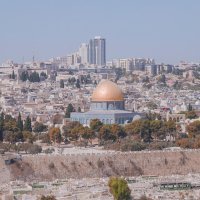 Goran Milić, What's Up Izrael