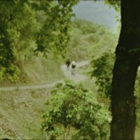 Hoćeš li me pogledati