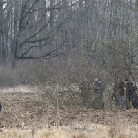 Nedaleko Dugog Sela u polju počela je iz tla izbijati nafta