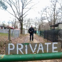 Bespravna gradnja u Istri, Boris Miletić