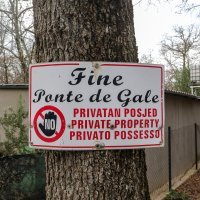 Bespravna gradnja u Istri, Boris Miletić