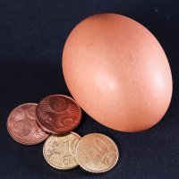 Najskuplja jaja u Europi