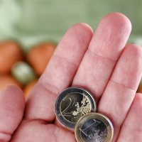 Najskuplja jaja u Europi