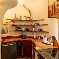 The Bloomhouse (Austin, Texas)