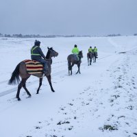 Snježna oluja u Britaniji