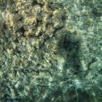 Arheološko otkriće