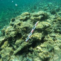 Arheološko otkriće