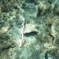 Arheološko otkriće