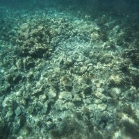 Arheološko otkriće